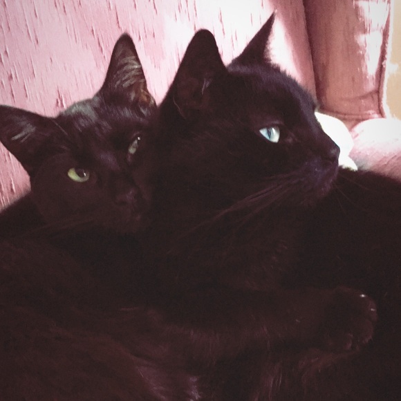 Meet your Posher, ShawnBritt - Picture 1 of 1